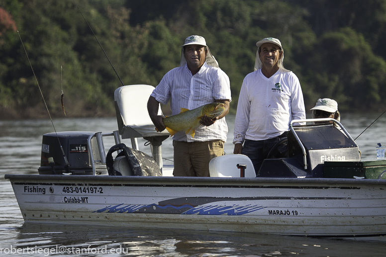 pantanal 2014